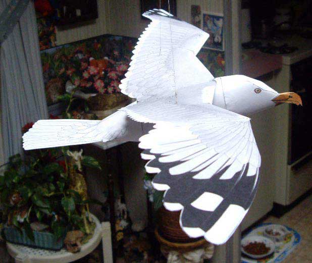 this GULL FLIES!!