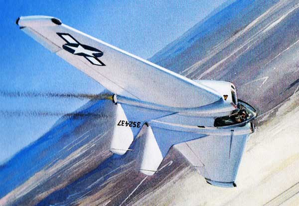 Northrop XP-79 Flying Ram | Aircraft