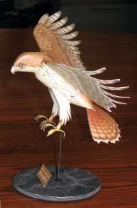 Side View of Hawk Model